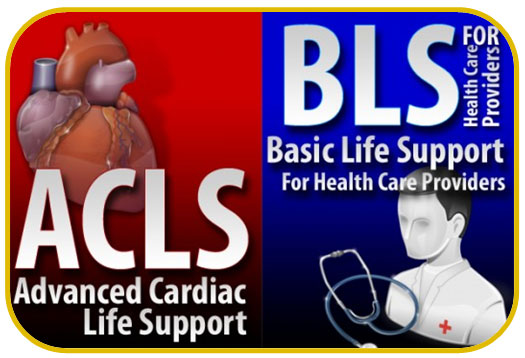 Certified ACLS, BLA, PALC, CPR & AED Trainings & Seminars